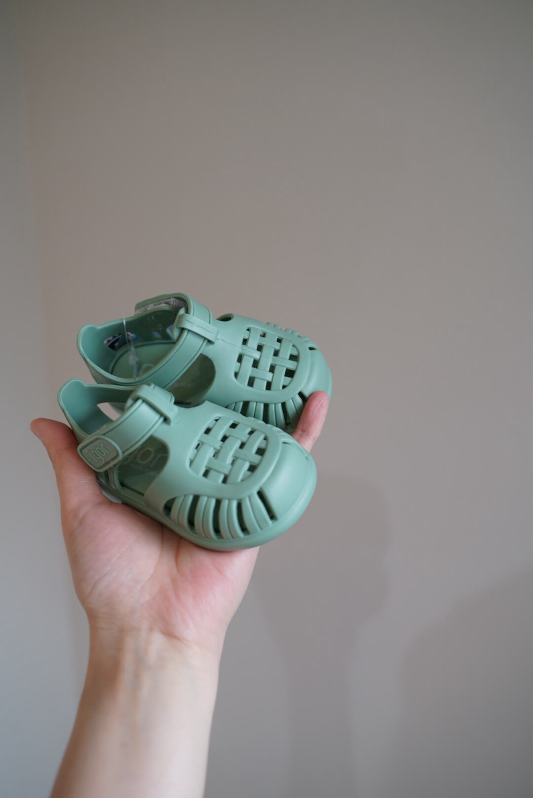 【IGOR】TOBBY SOLID - MATCHA(361)☆NEW☆