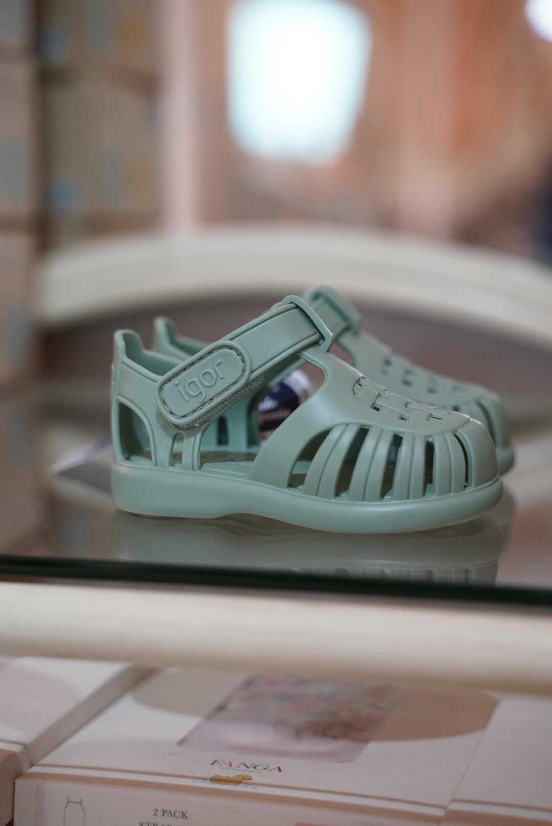 【IGOR】TOBBY SOLID - MATCHA(361)☆NEW☆
