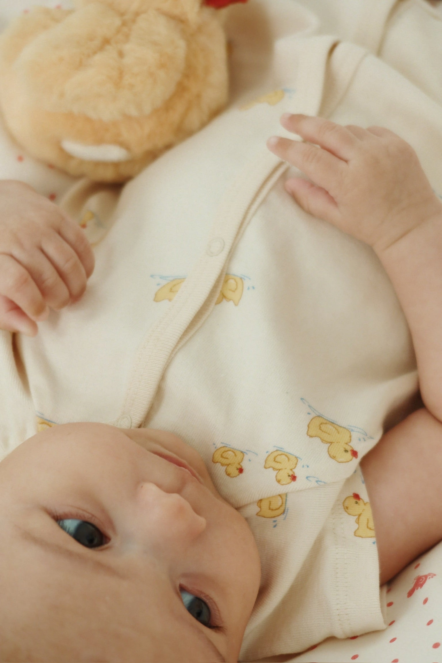 【Konges Sløjd】BELLO SS ROMPER OCS